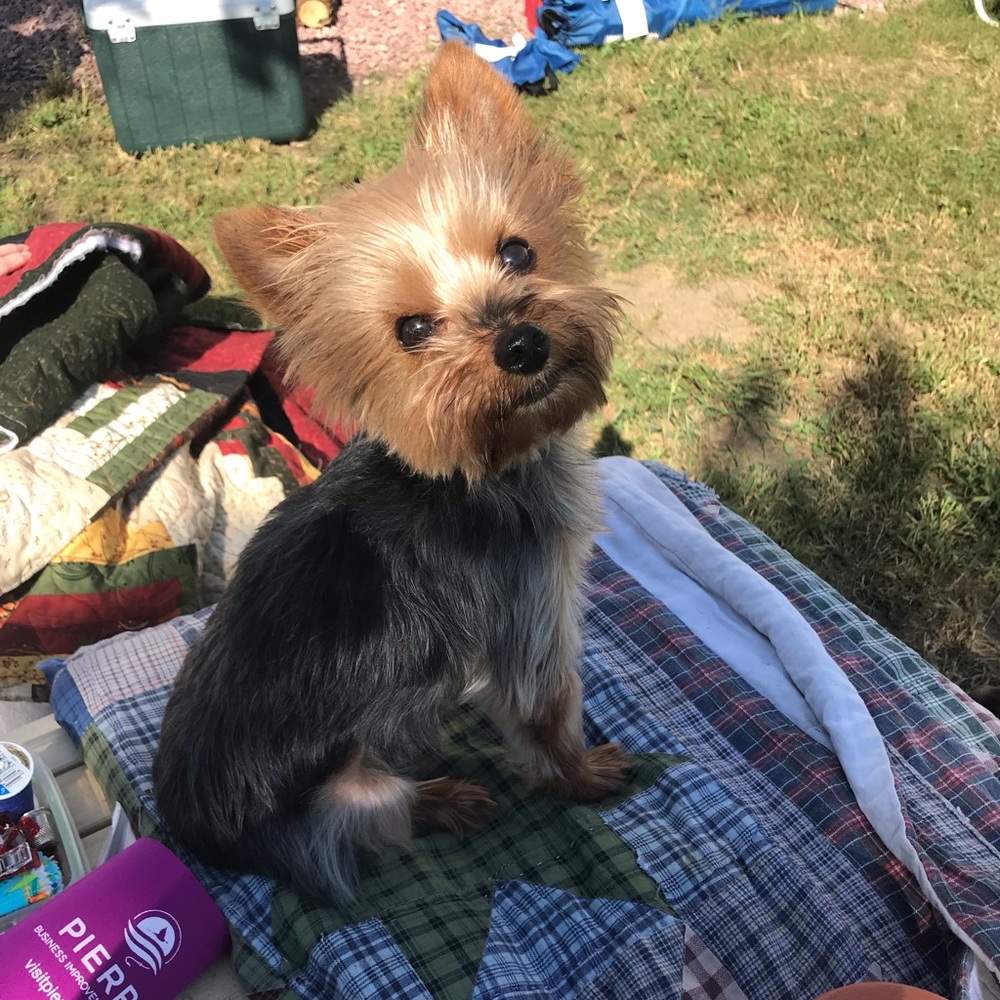 Meet your Posher, Sarah